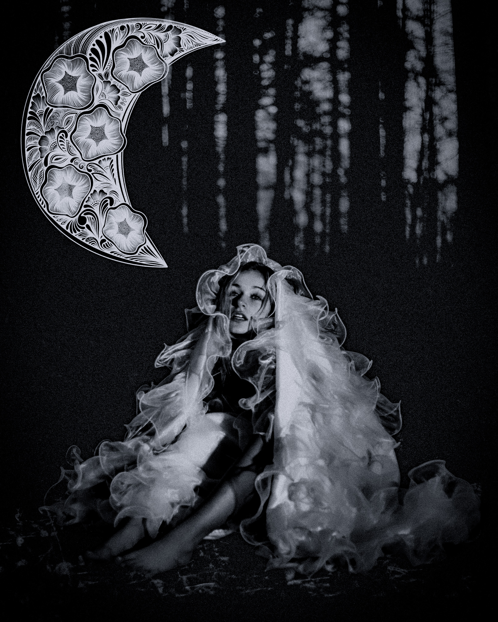 Nocturnal Reverie