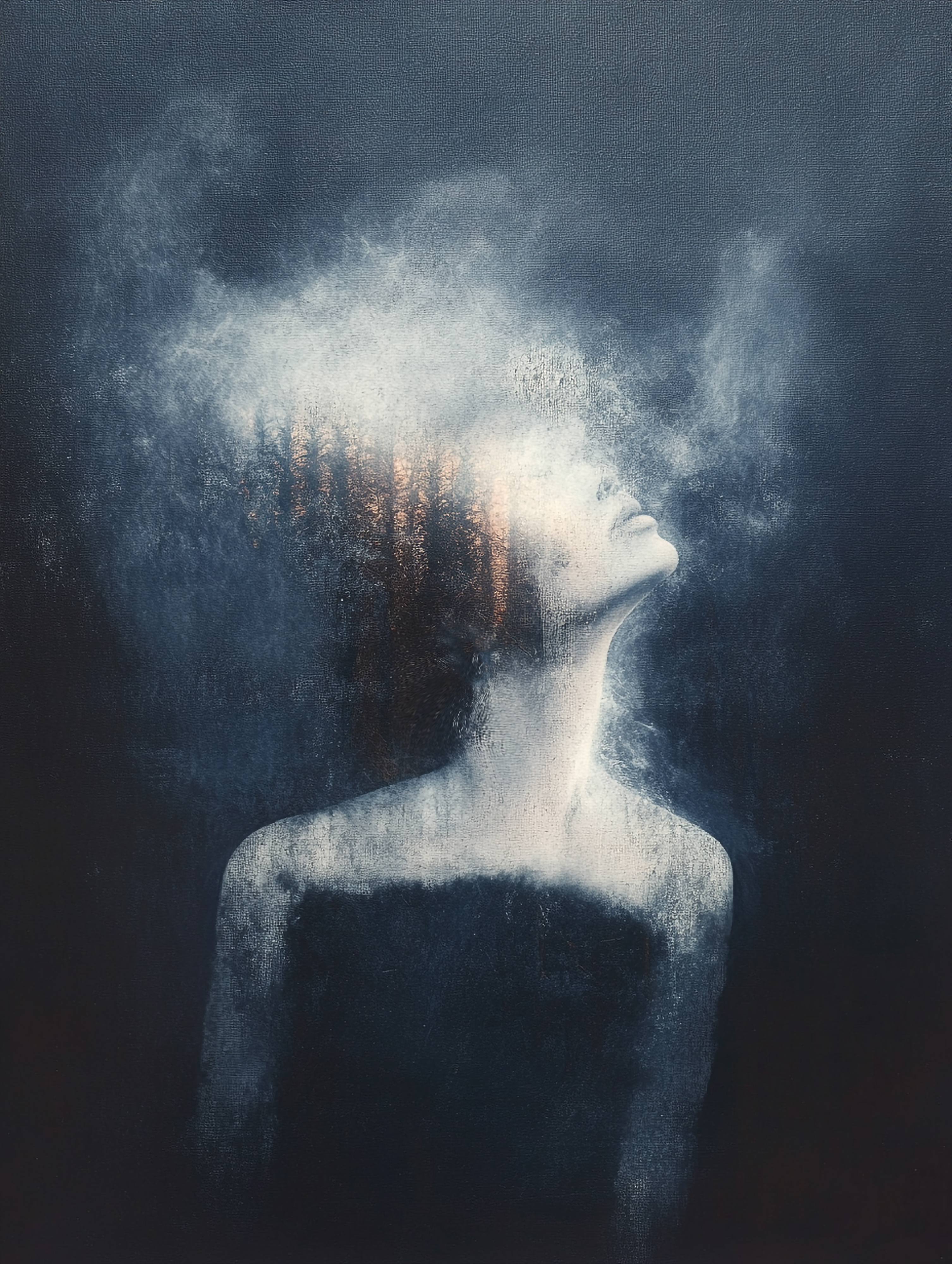 Into the Hush