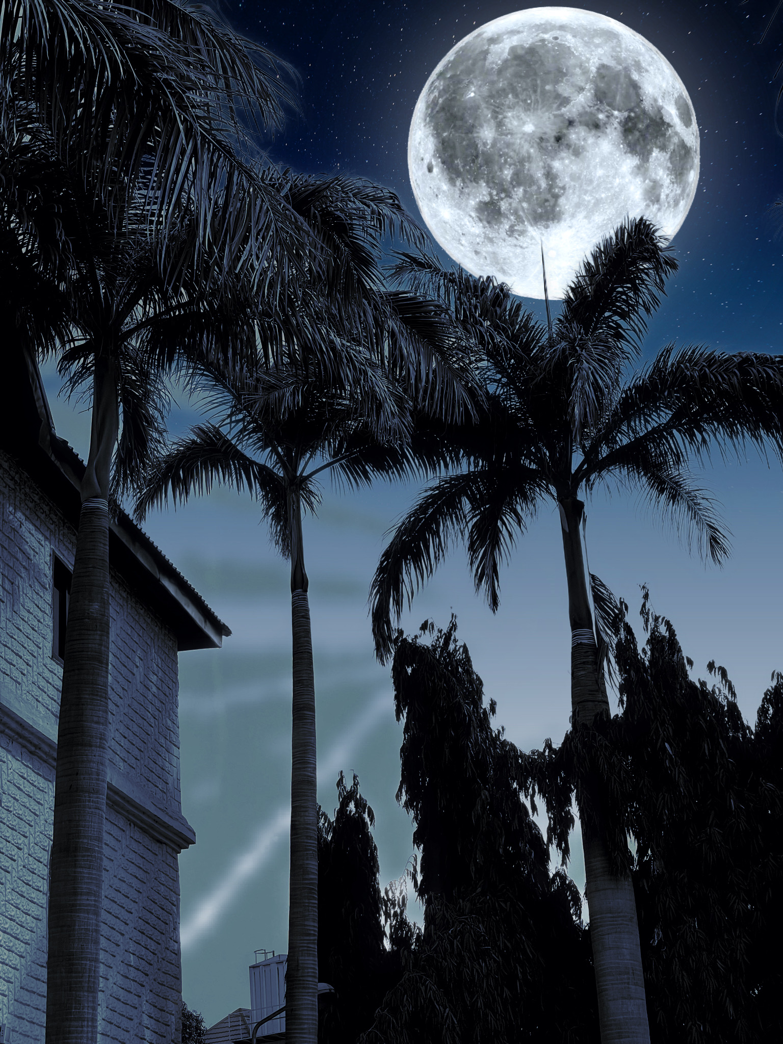 Full Moon ๐