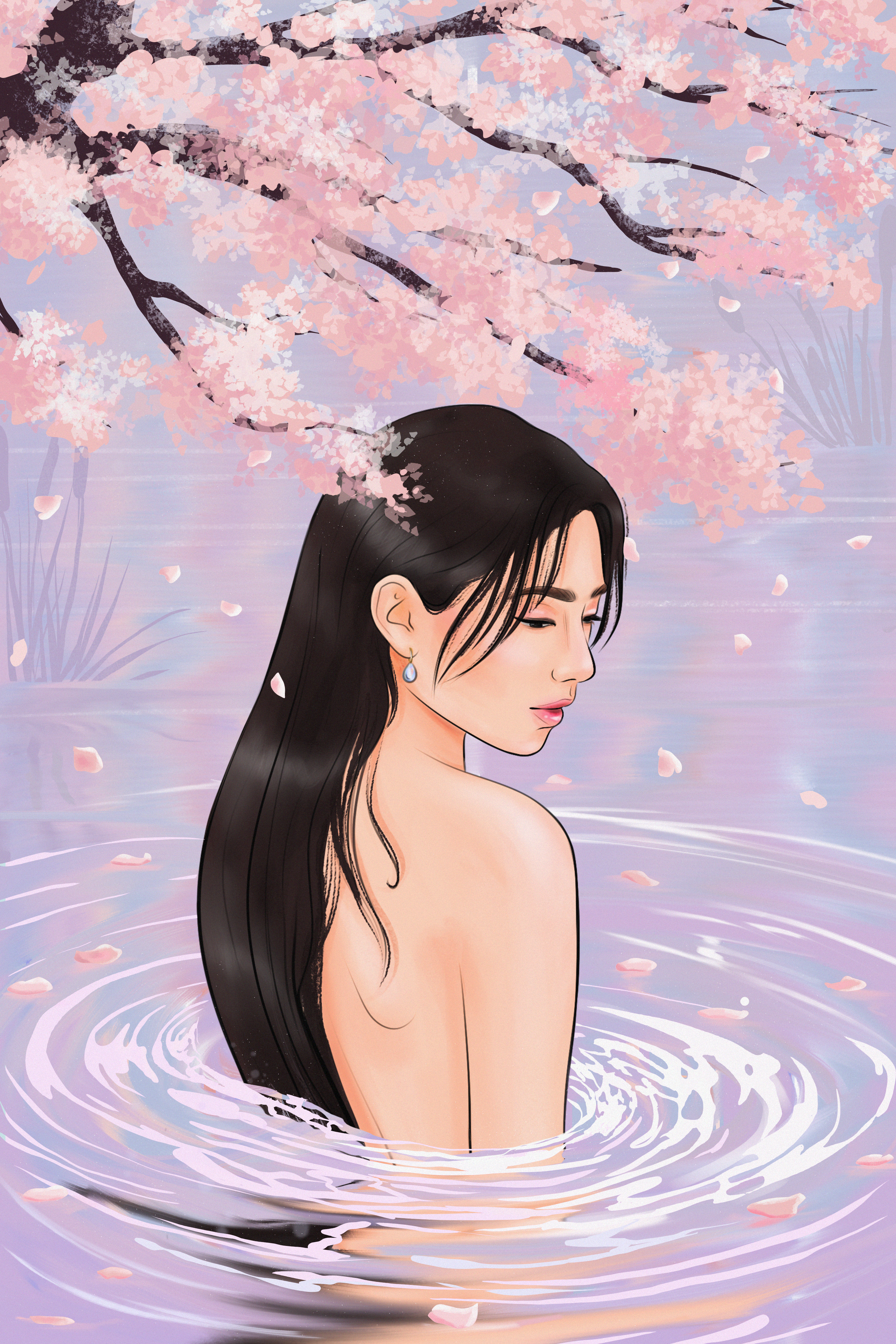 Cherry blossoms