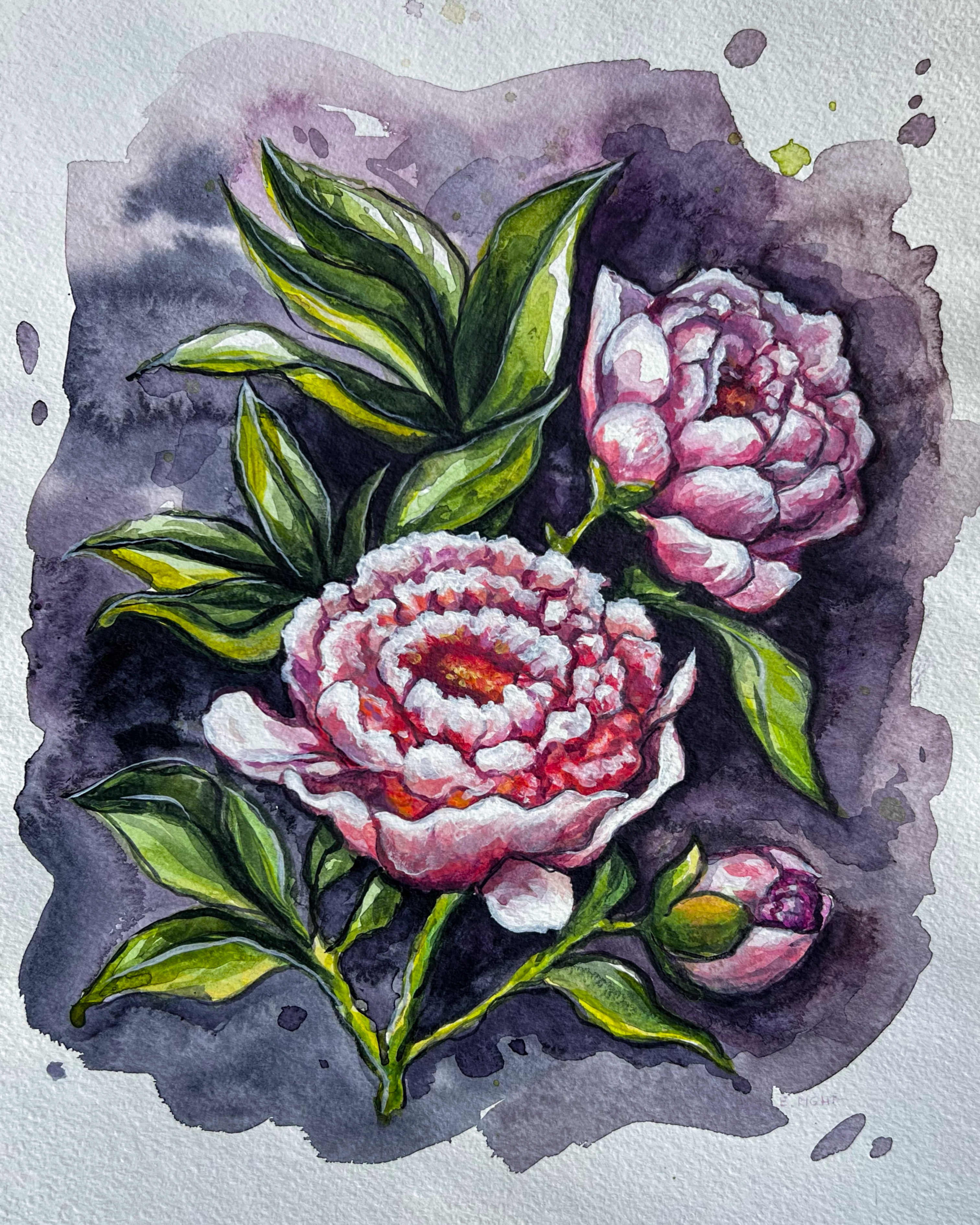 Peonies