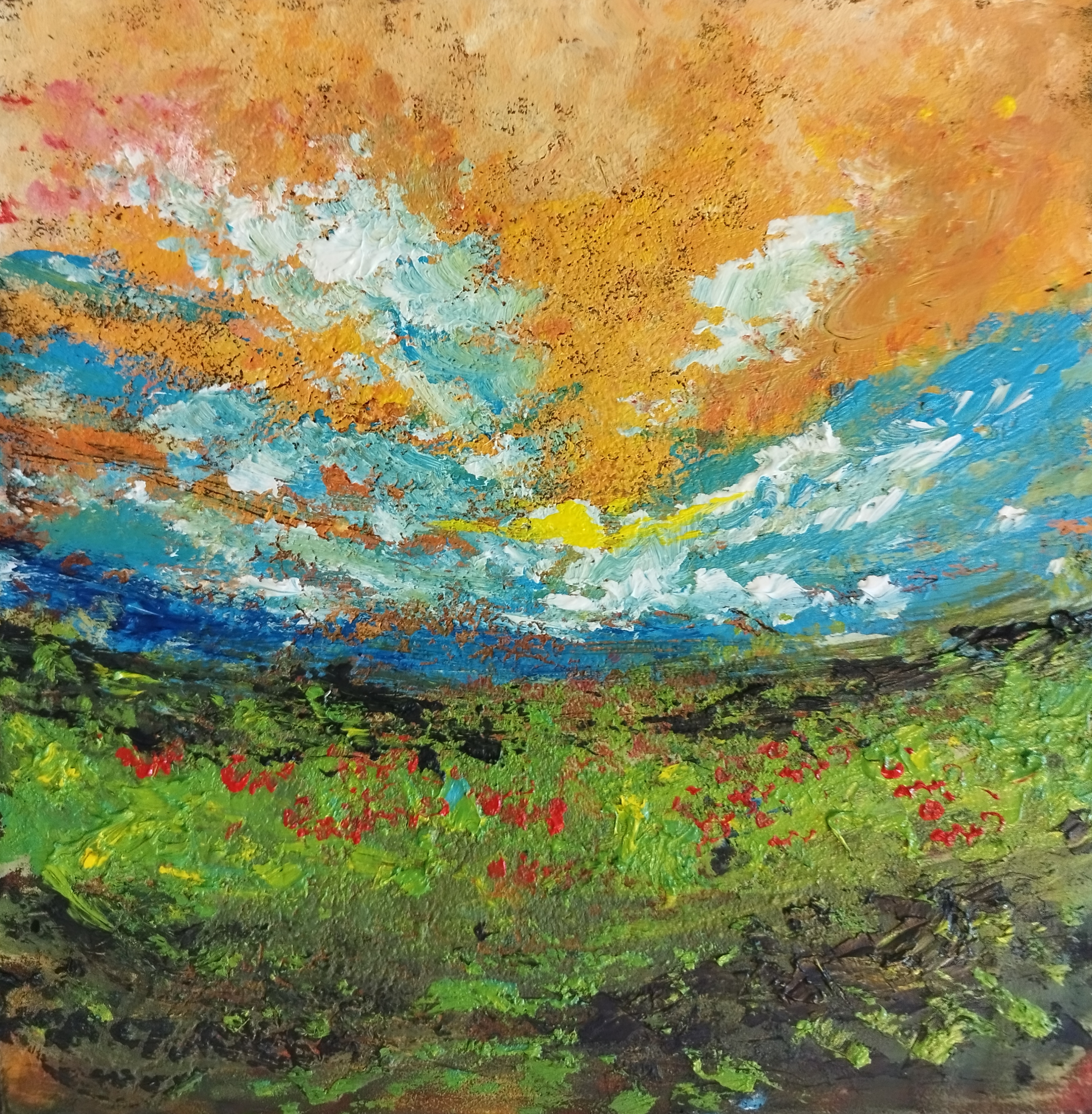 Poppy field
