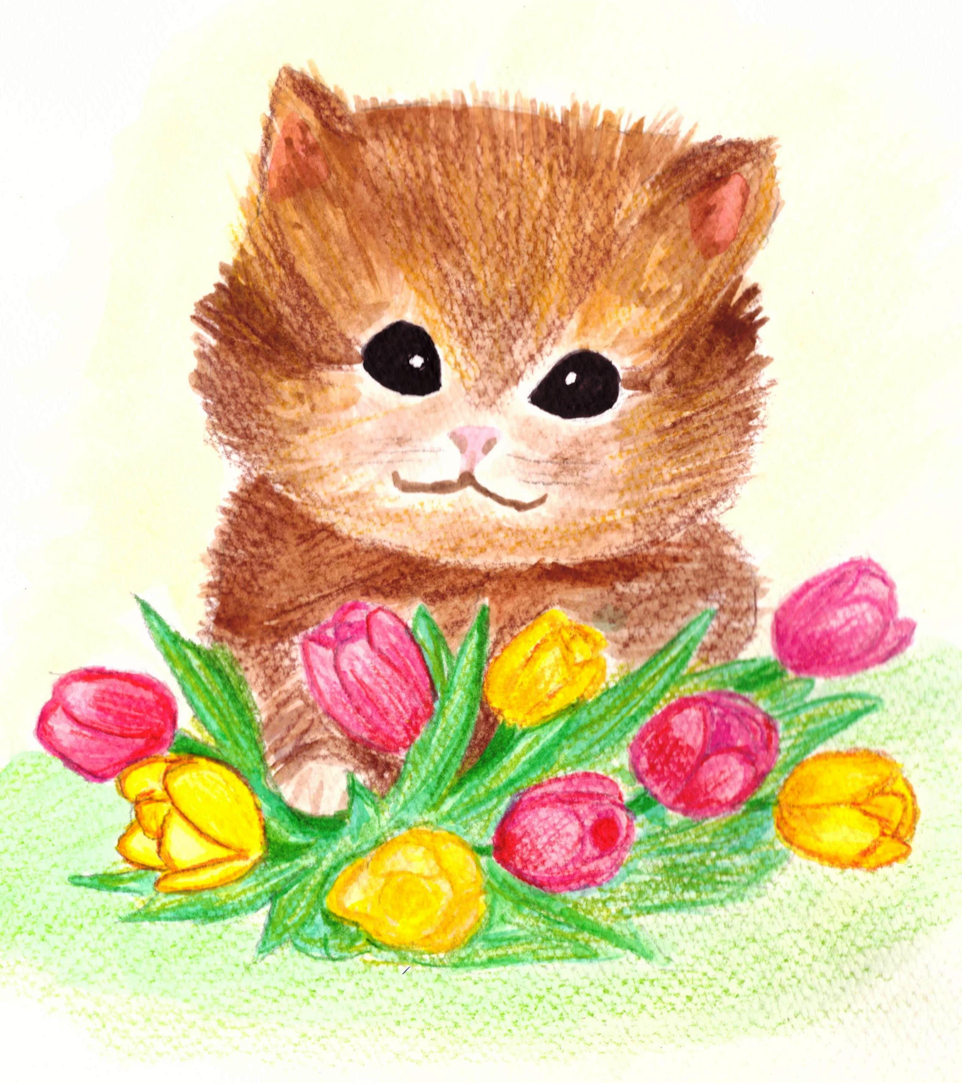 Fluffy morning of spring