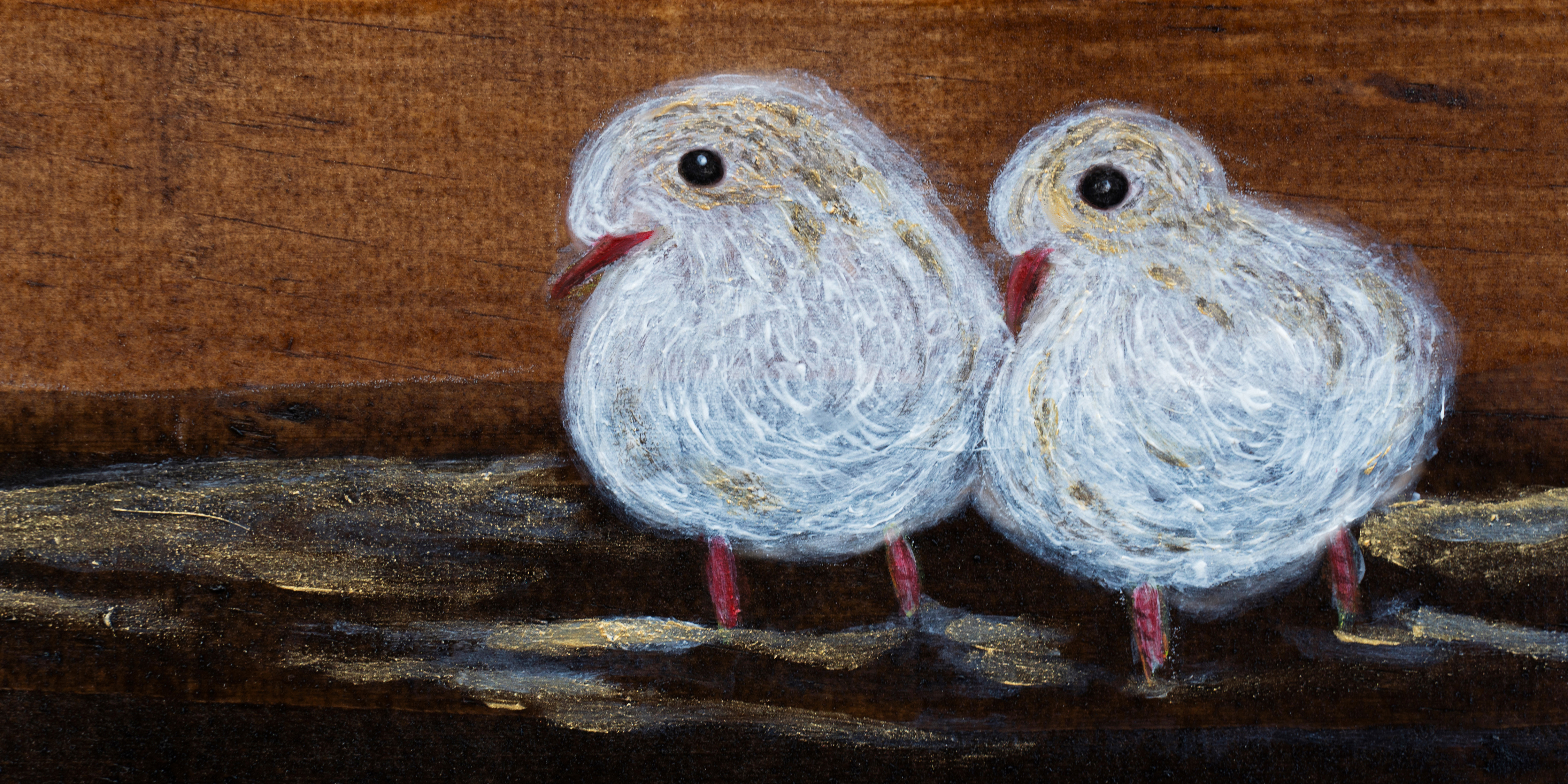 Curious birds