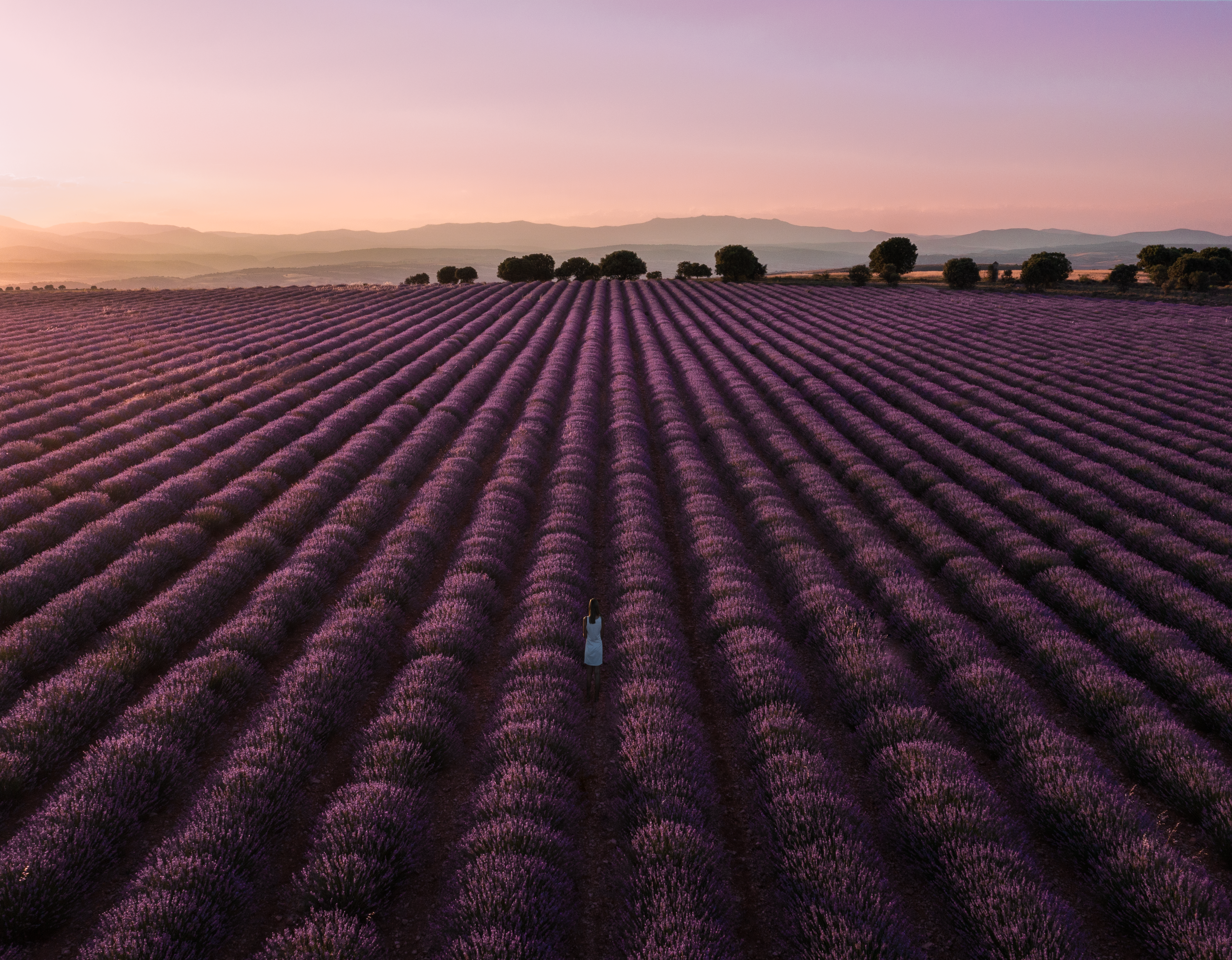 Purple sunset