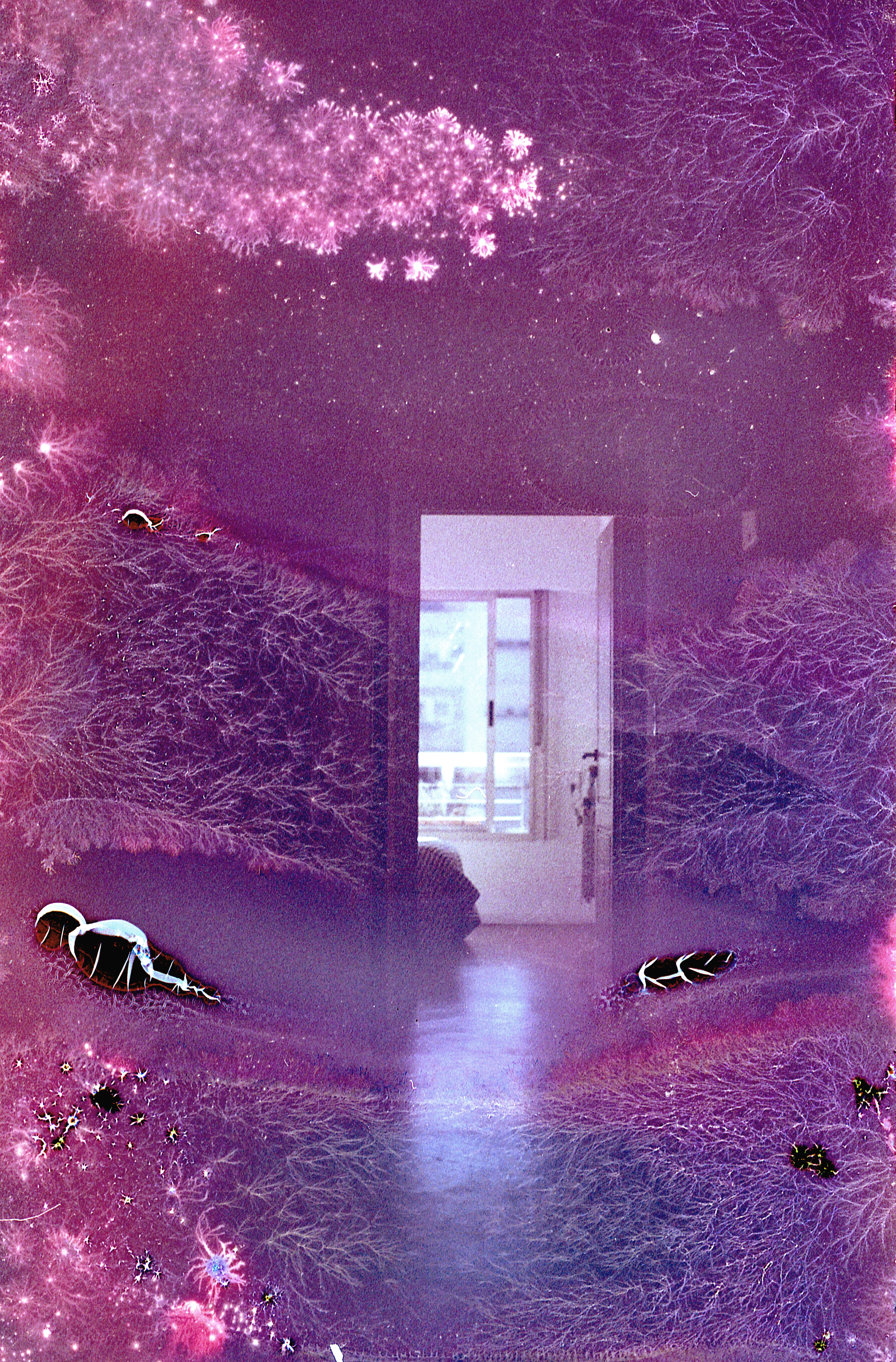 Light Portal