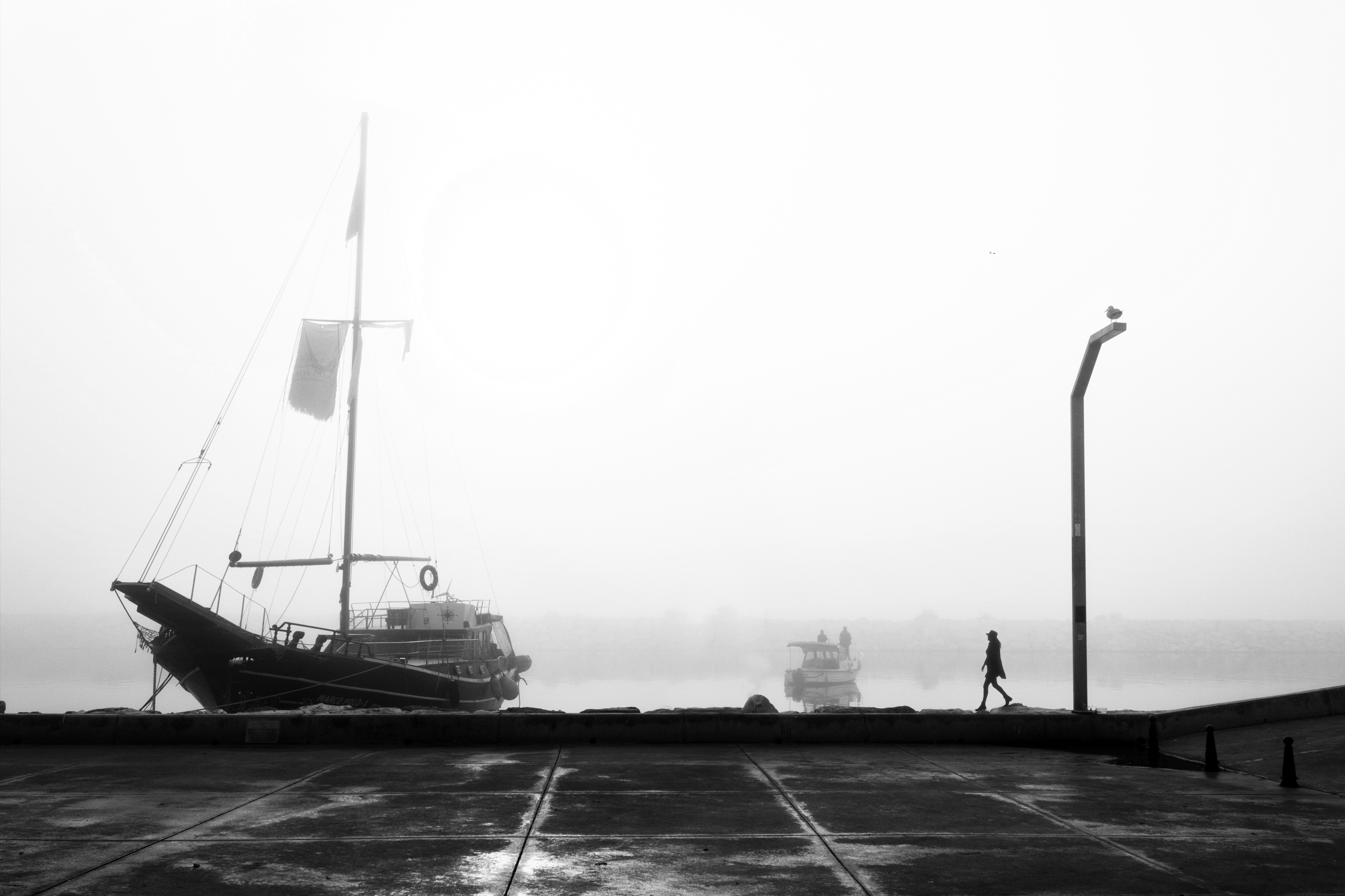 Foggy Day