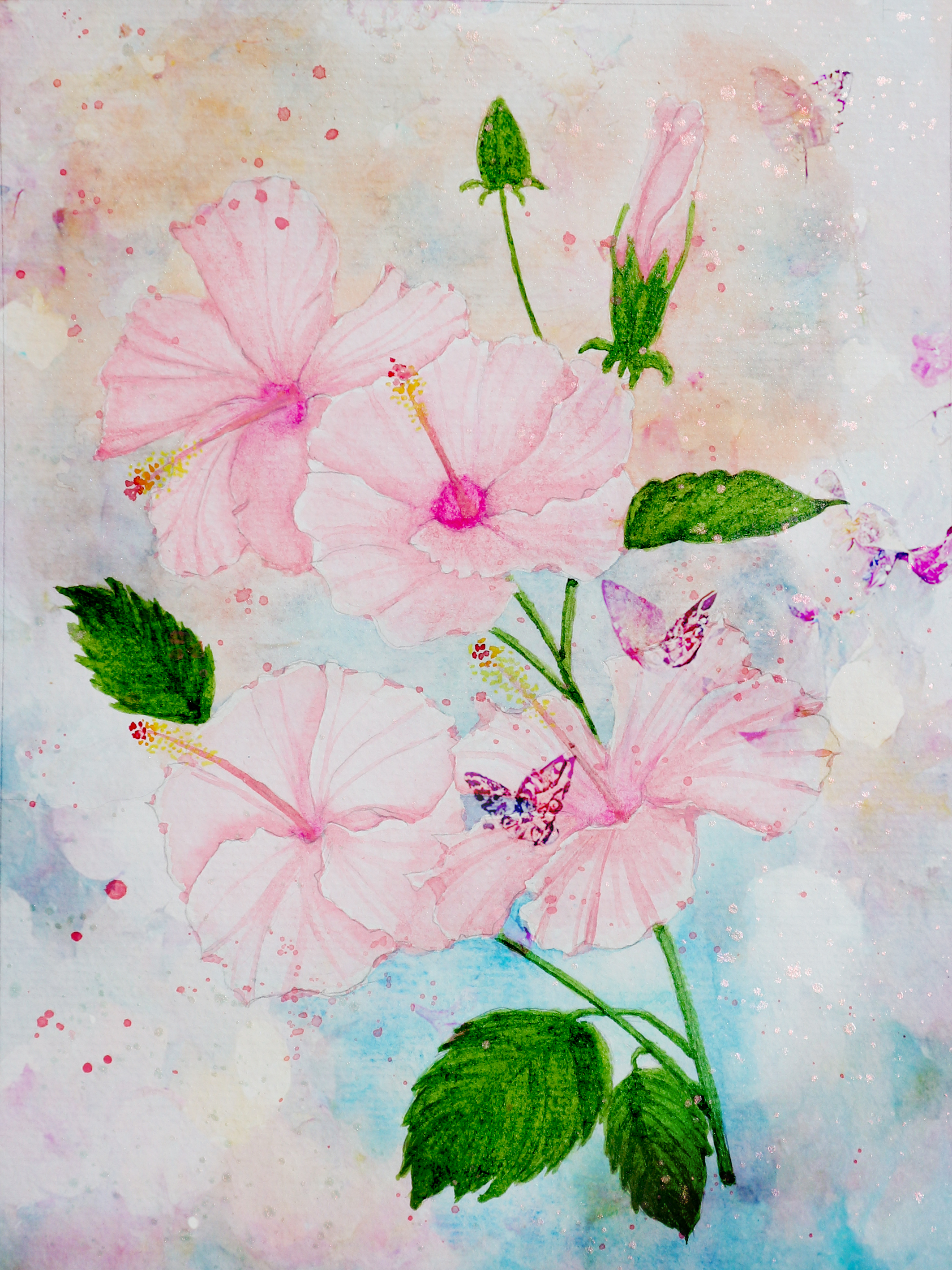 The Ambitious Hibiscus