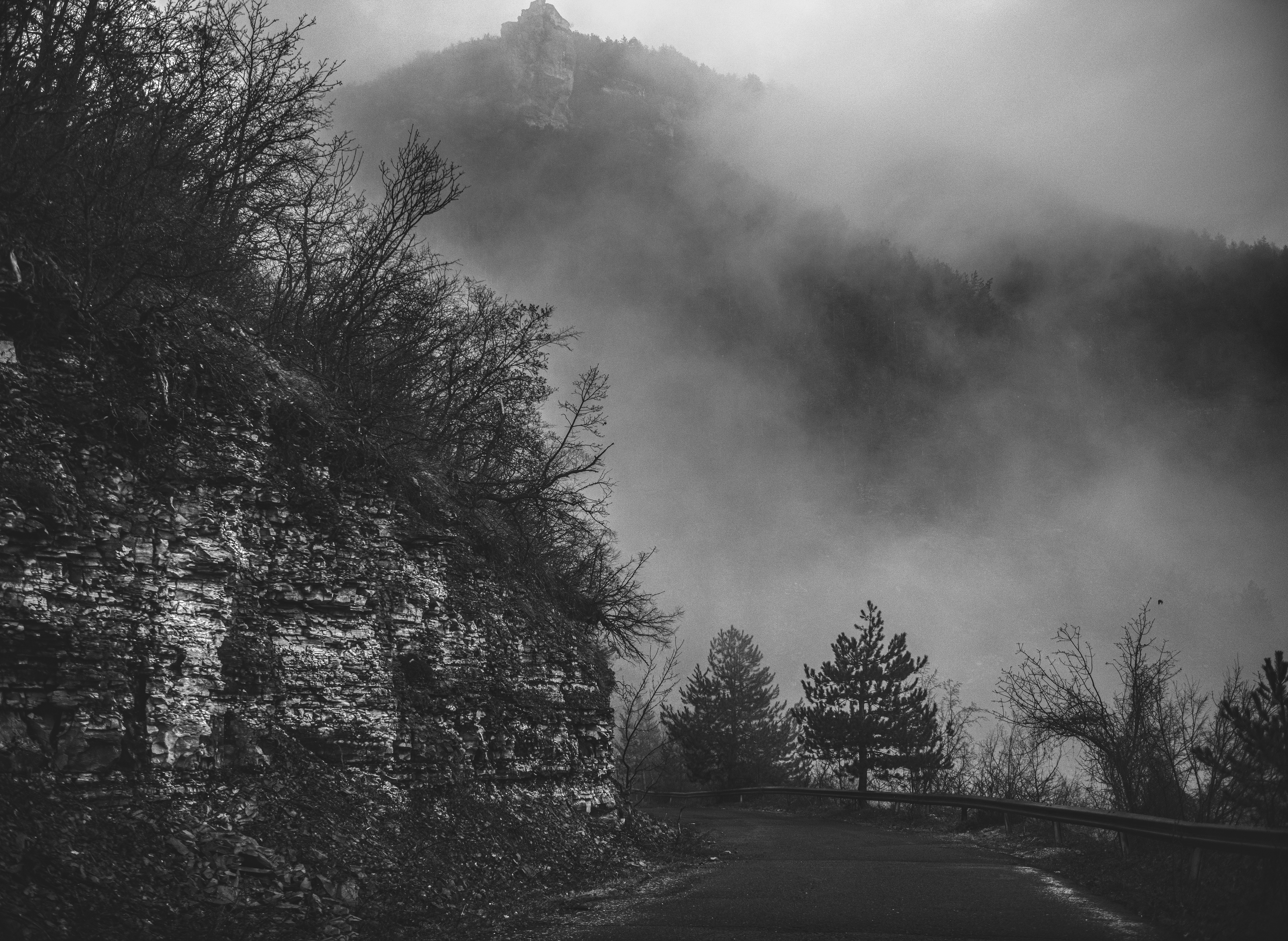 Foggy Road