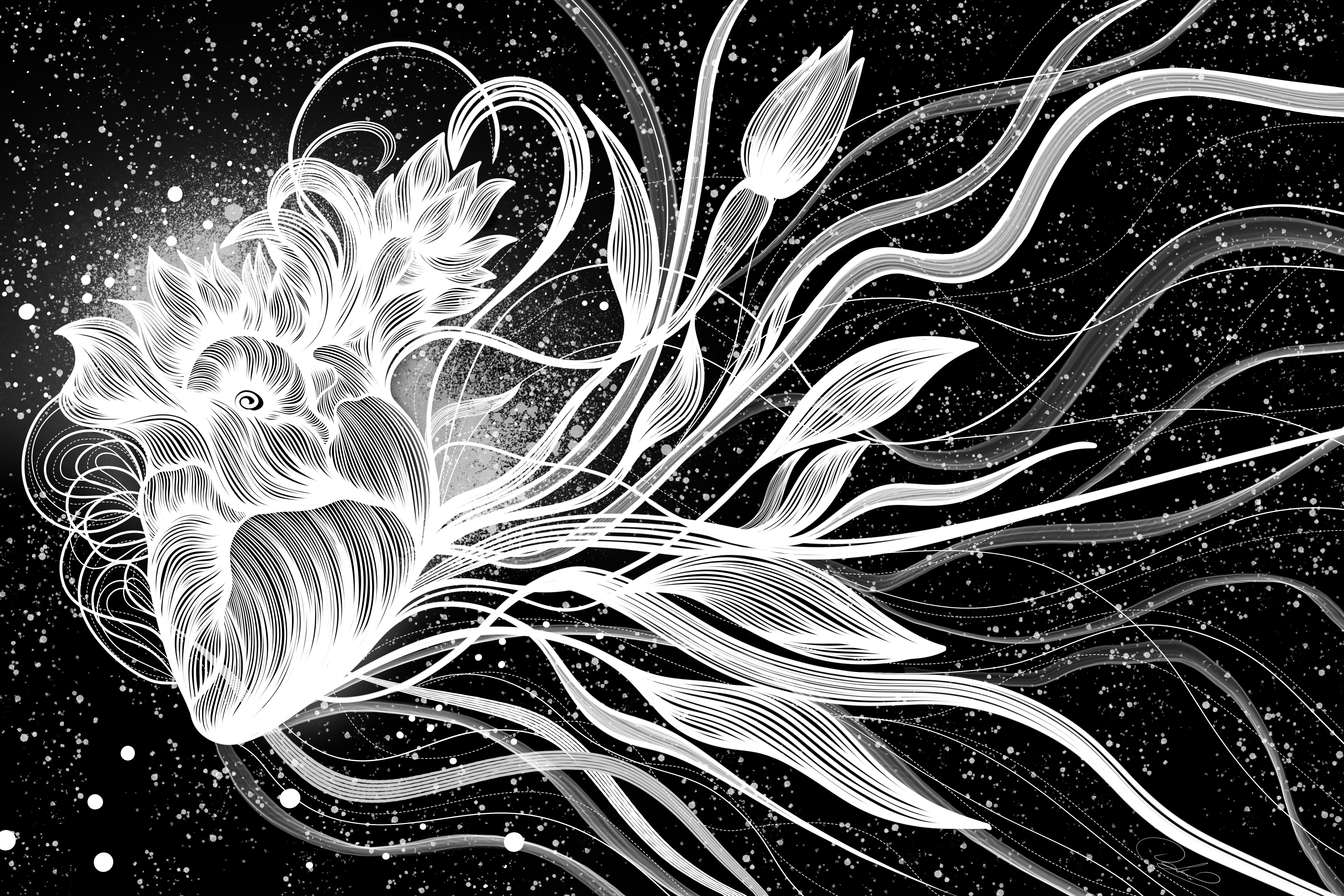 Bloom Where Your Heart Speaks