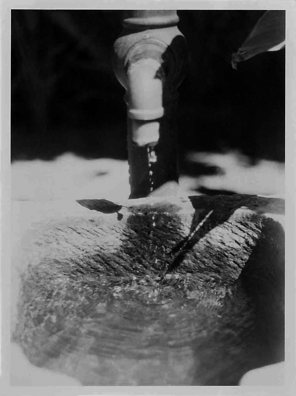Spout