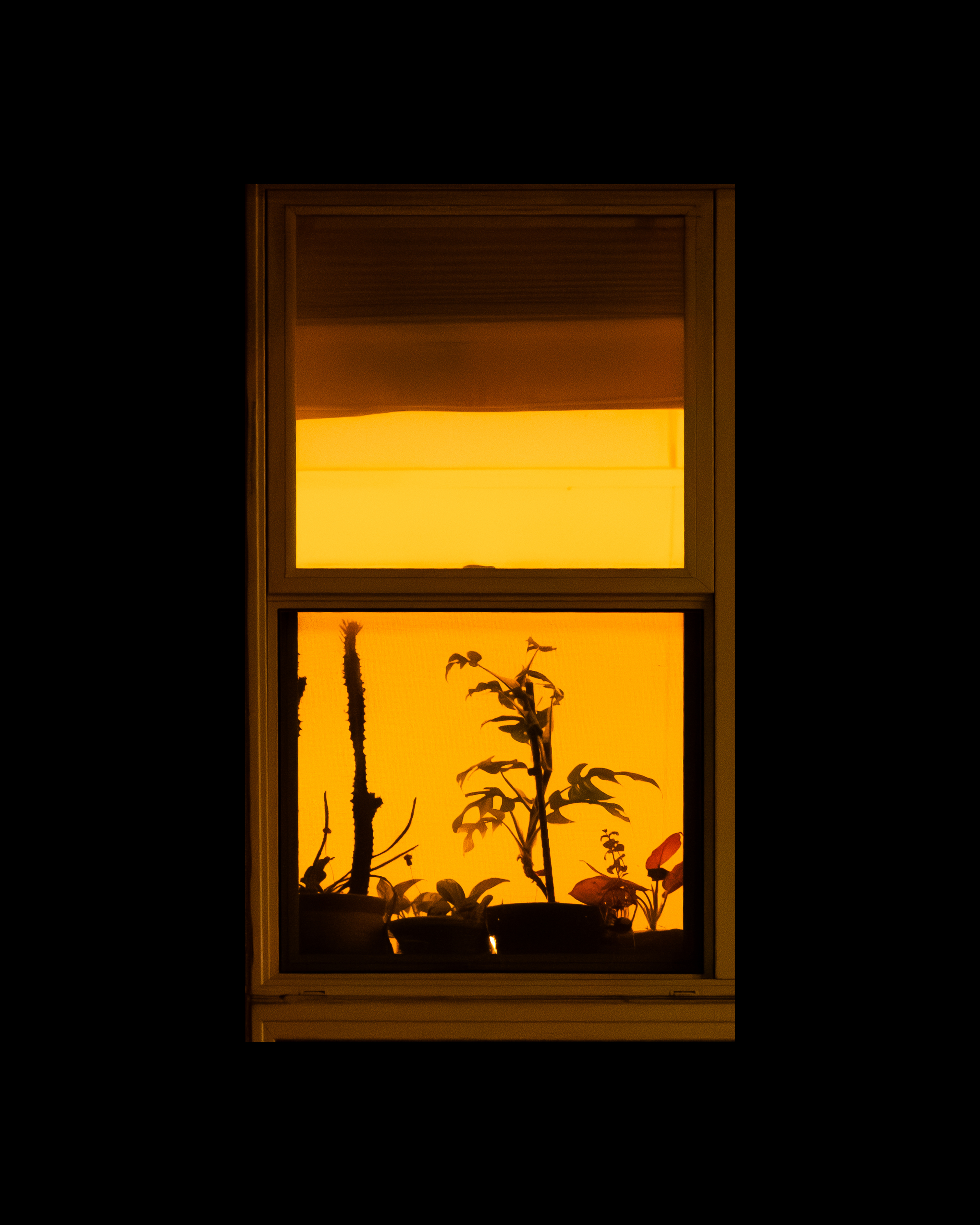 WINDOW 789