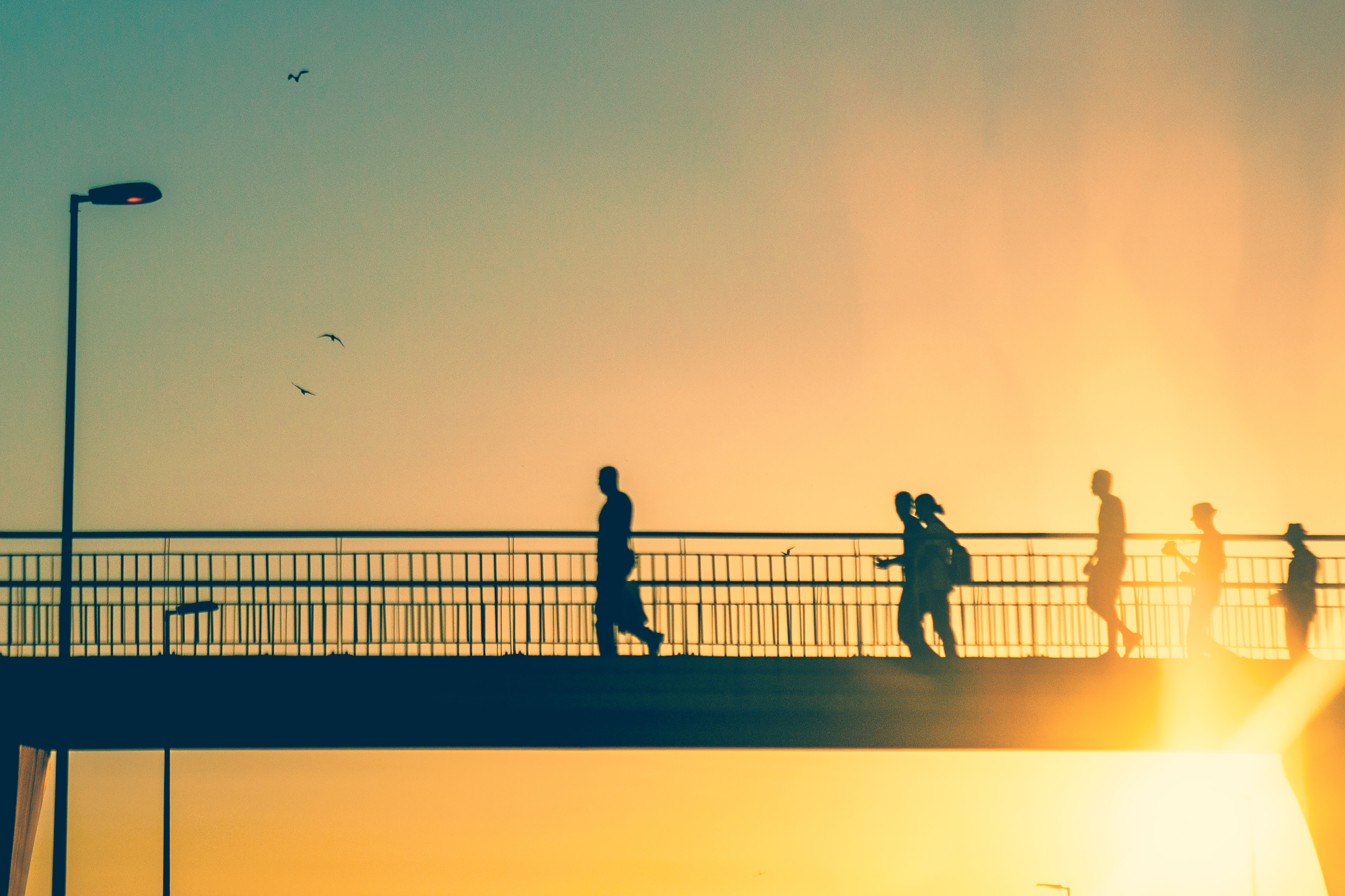 Encounter with the Sun