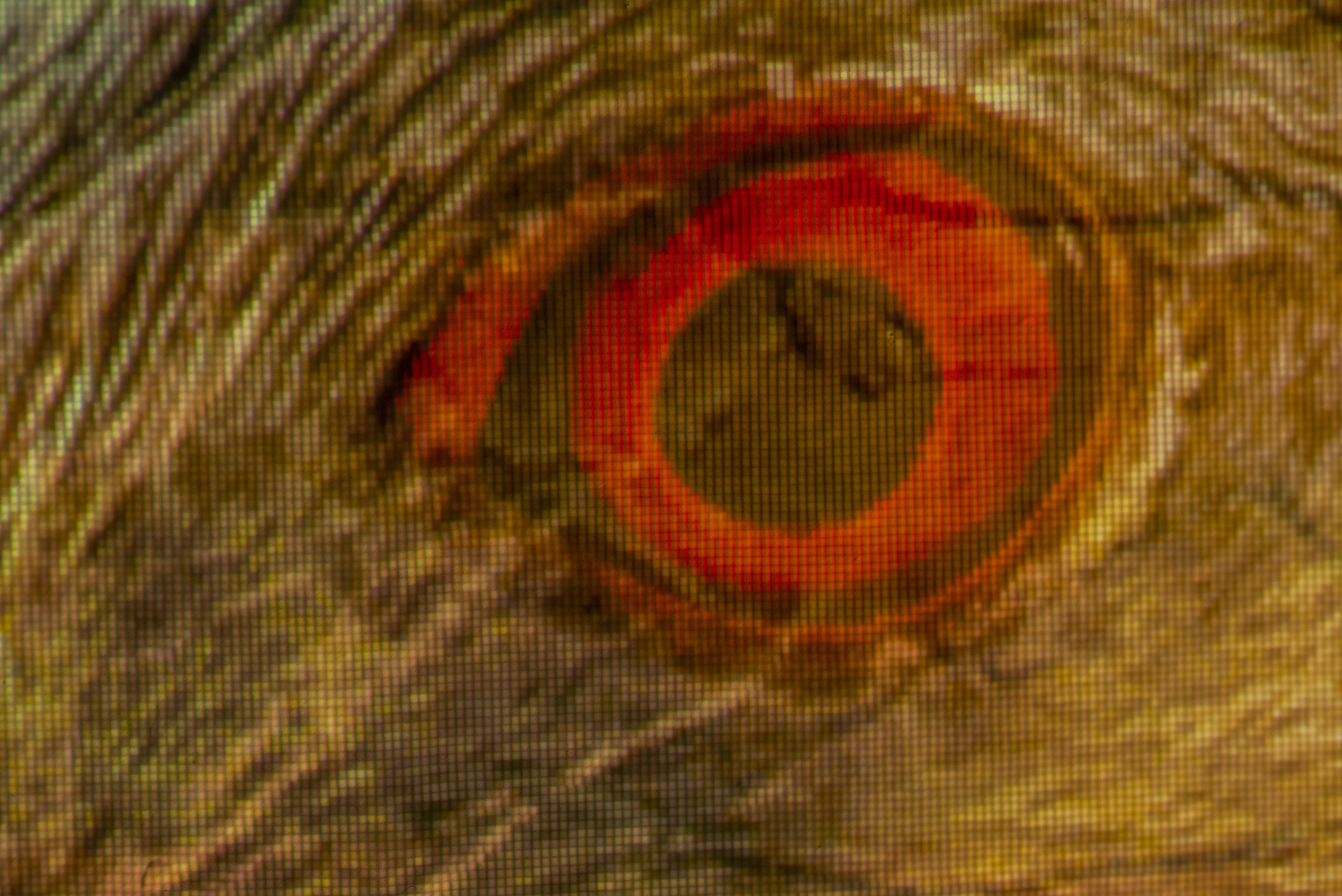 Four: Hurting Eye