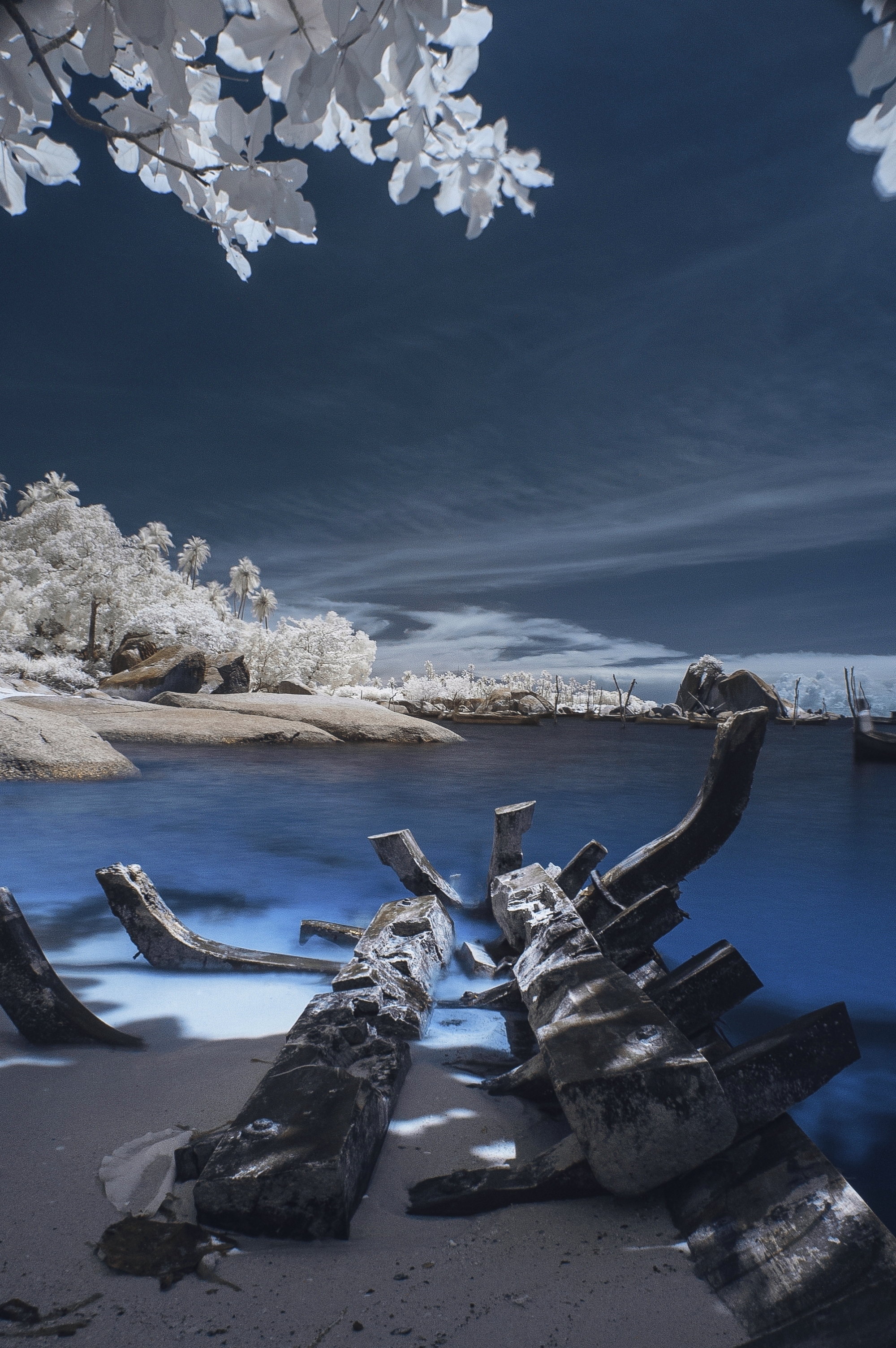 Abandoned Ark