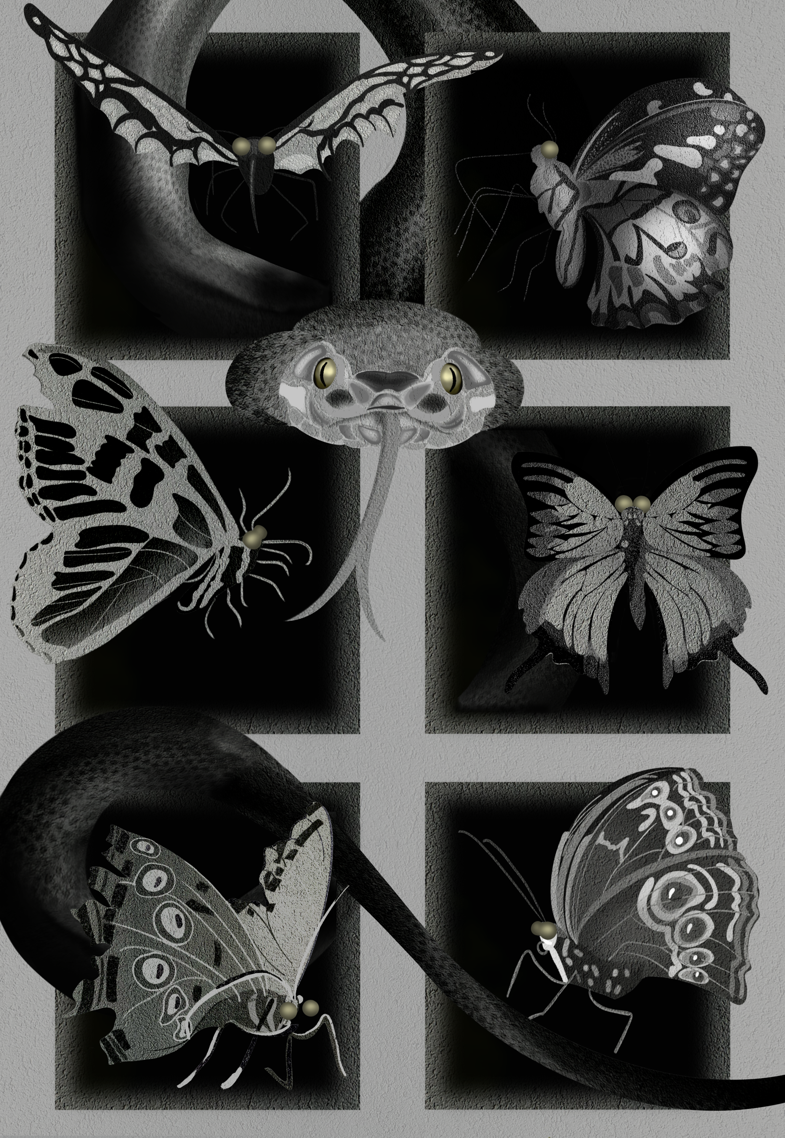 Medusa’s Butterfly Collection
