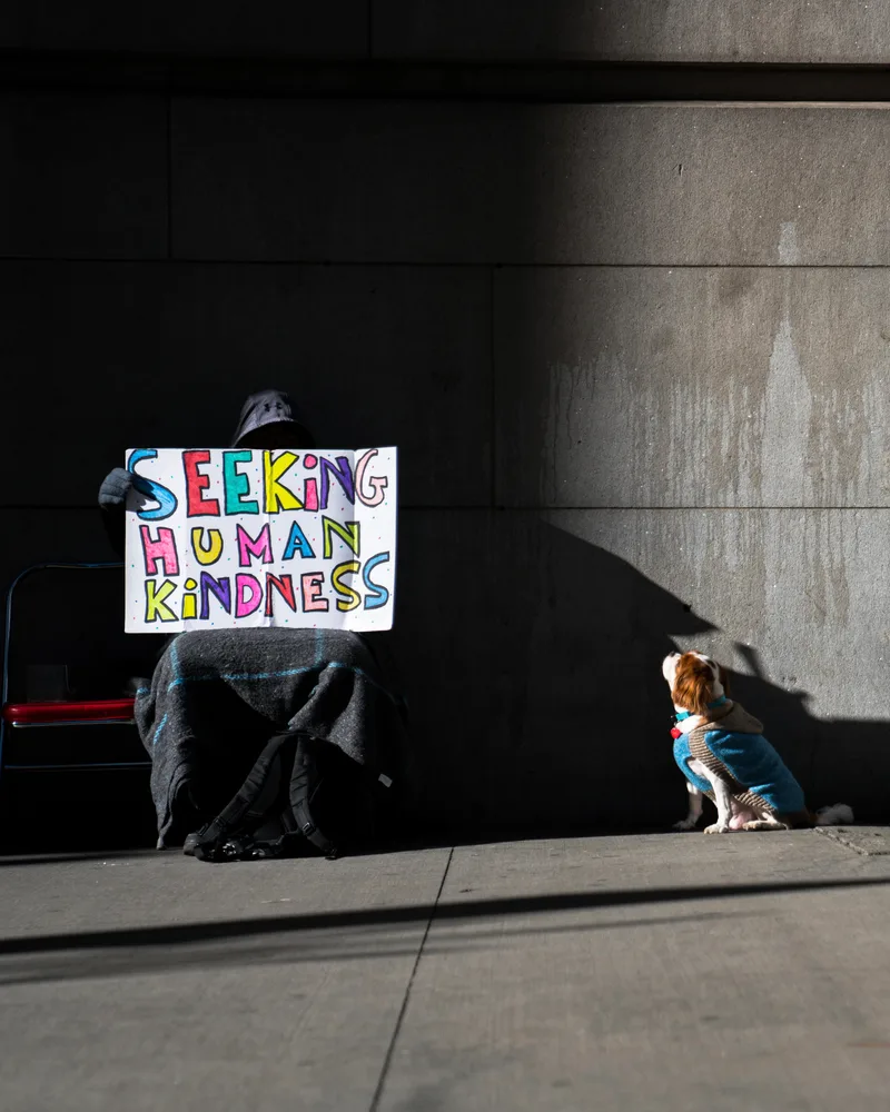 Seeking Human Kindness #10/15