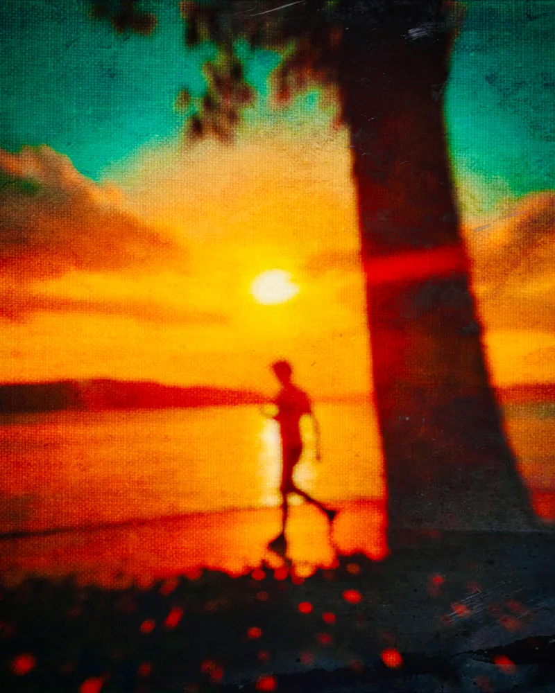 Sunny coast