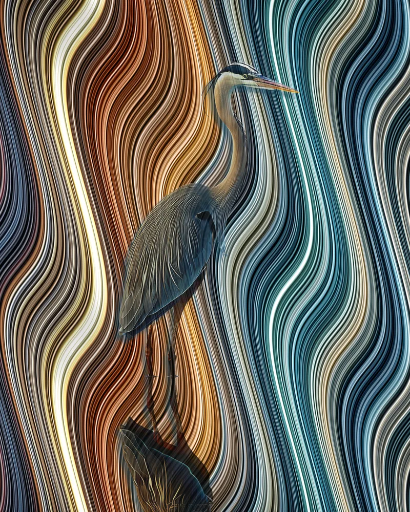 Heron in Flow