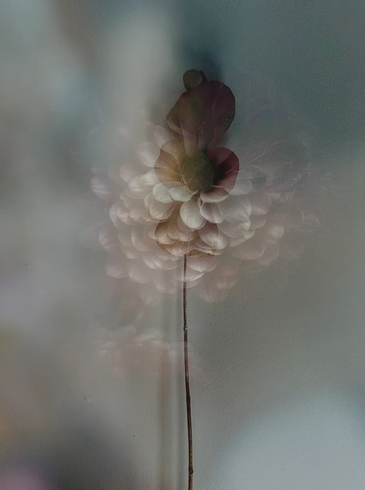 Touch
