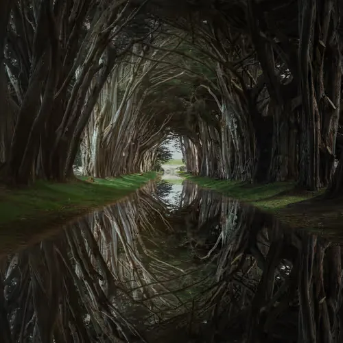 Tunnel Vision