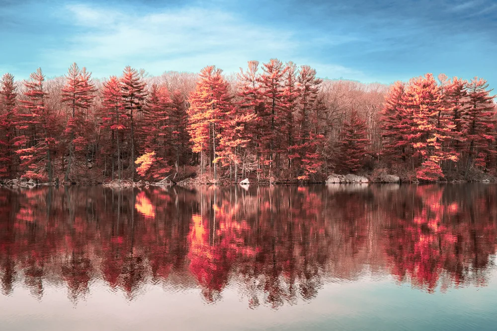 Calm Water