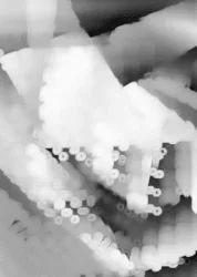 Synthetic Memory by Harto