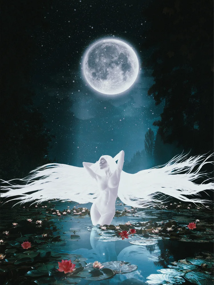 Moonlight Bathing