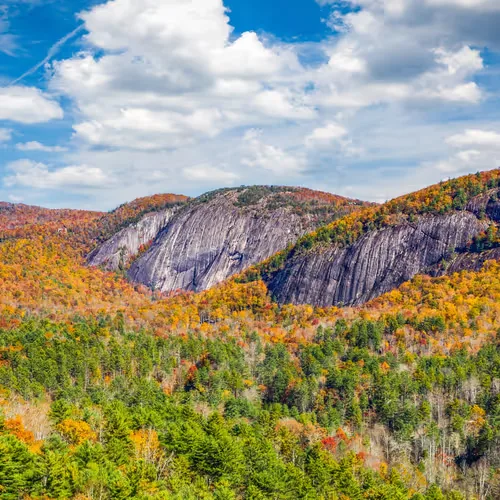 bald rock