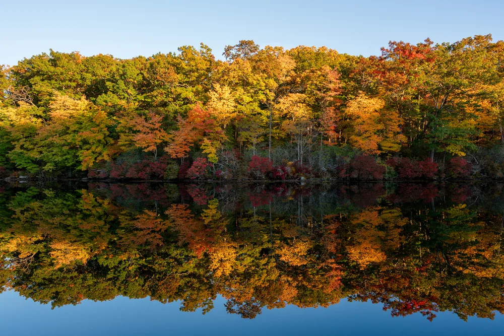 Color, light and calm water.
