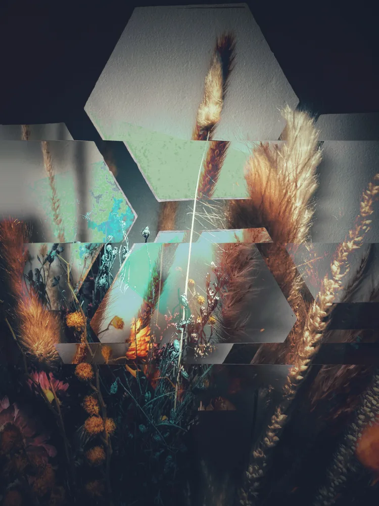 Wilderness