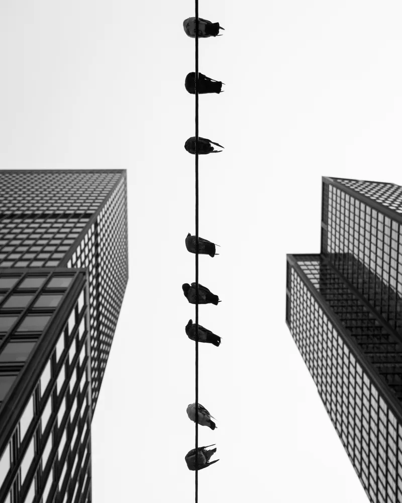 On the Wire #12/20