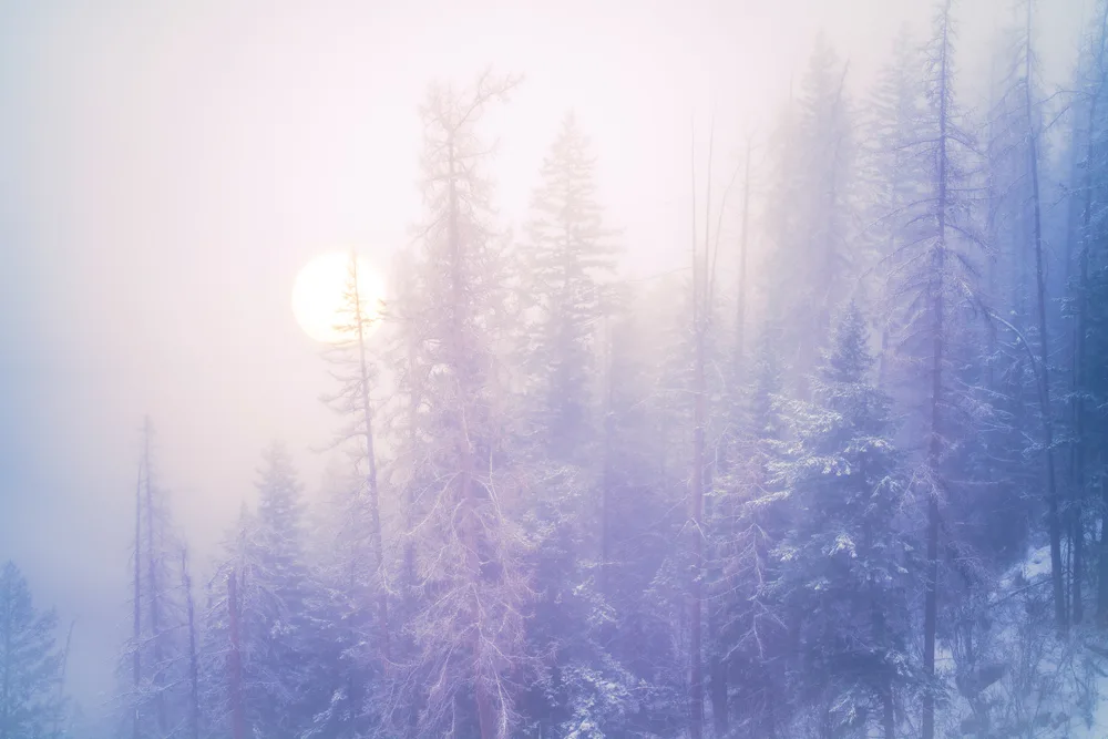 moody morning