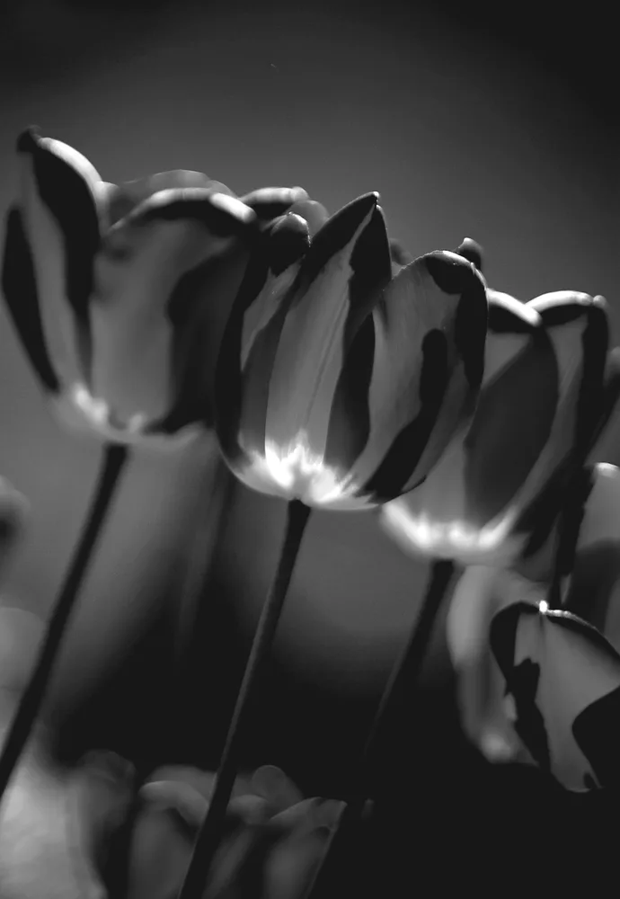 Inner Glow