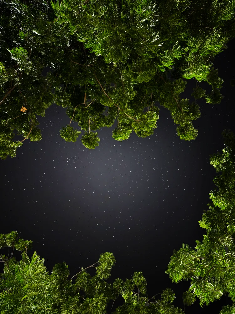 Between here and beyond