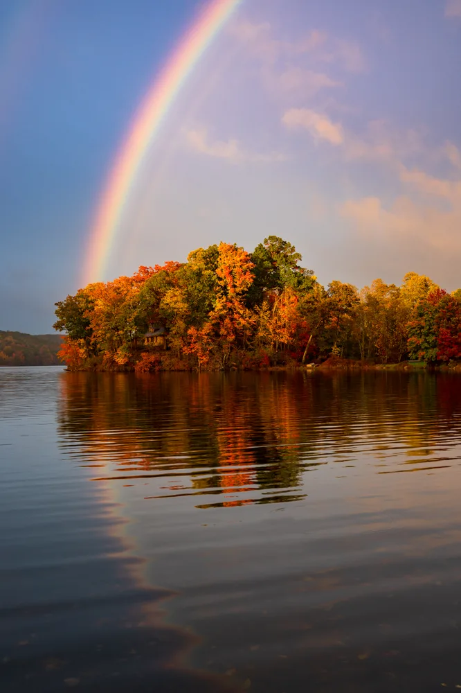 Nature’s Symphony
