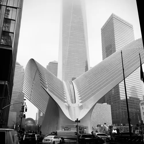 the oculus