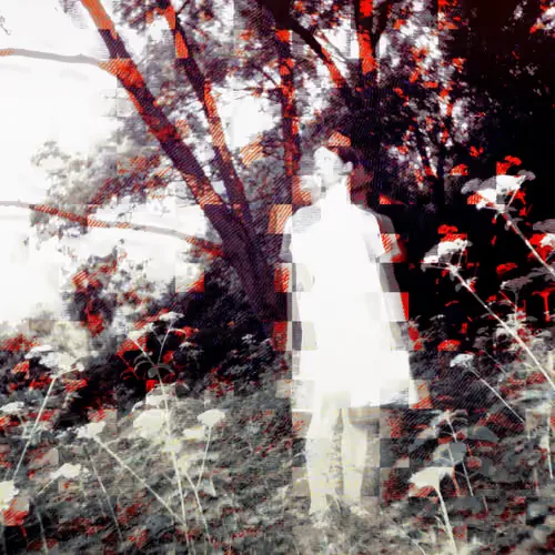Incomplete Echo
