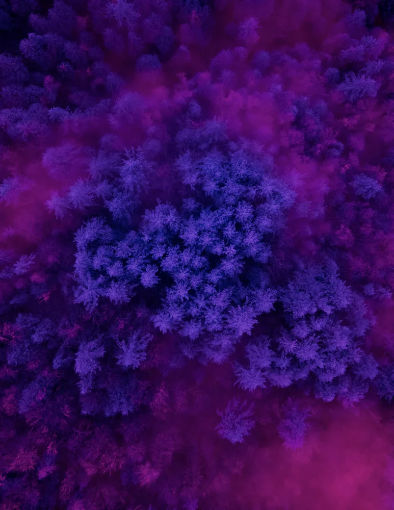 INVISIBLE EARTH 006 //