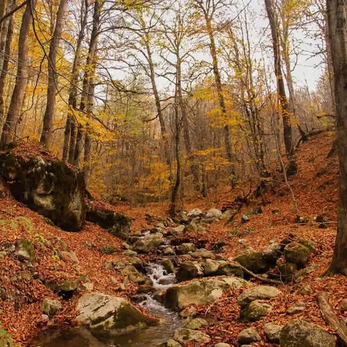 Autumn π