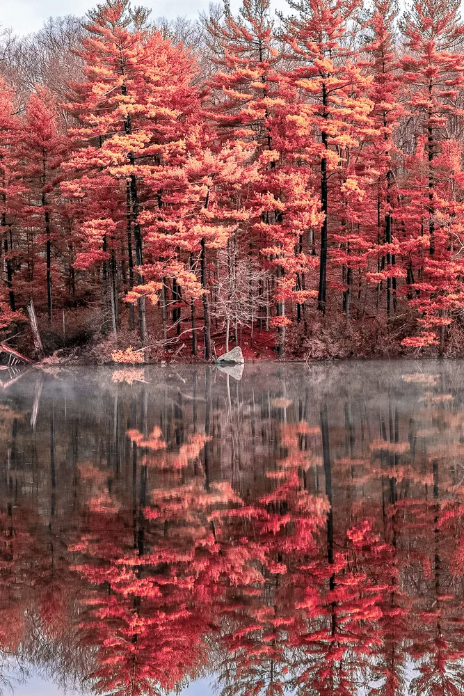Reflective