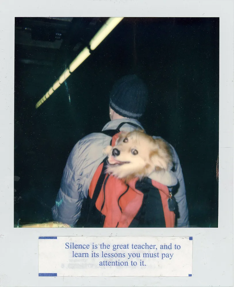 Polaroid Fortunes #7