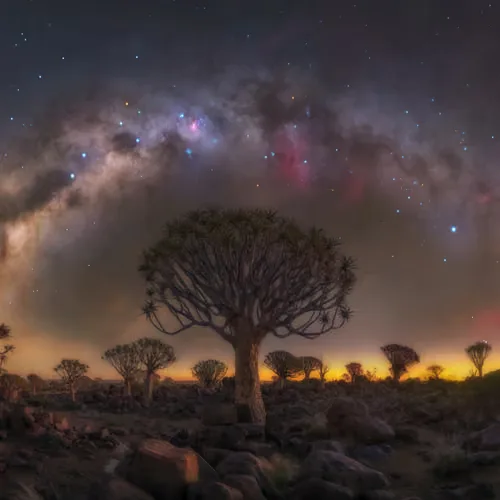 Night Reverie