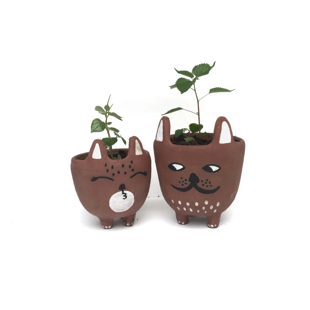 Purr-fect Planters