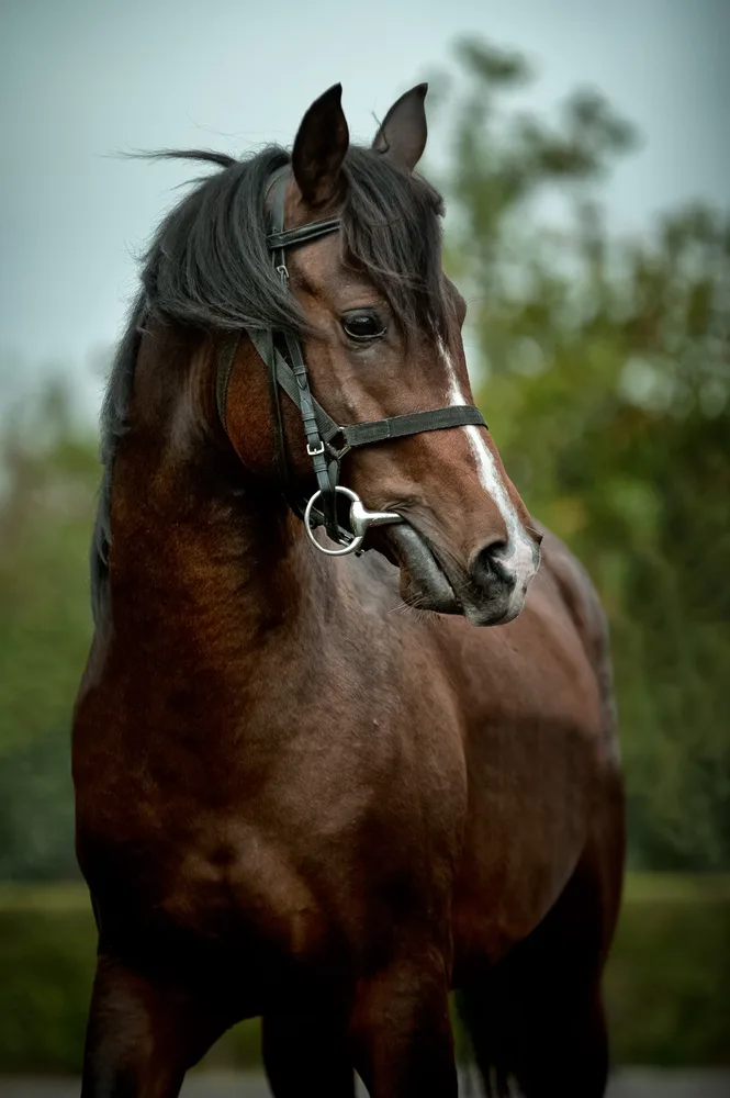 Luxury Beauty...