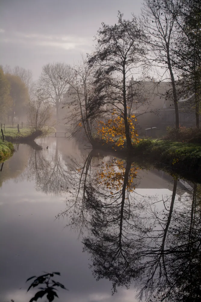 View with a Reflection