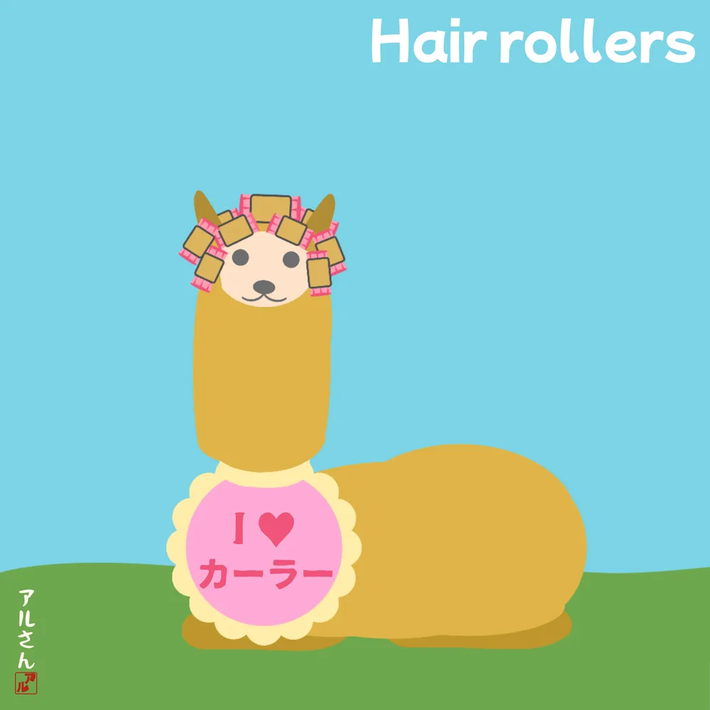 Hair rollers