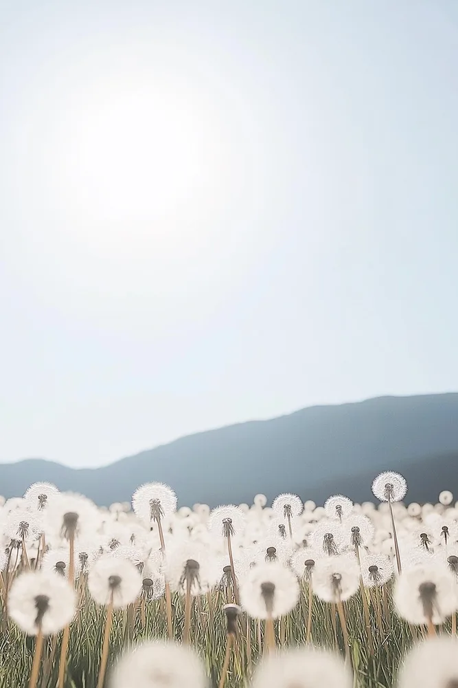 Summer Doldrum Diary - part 15