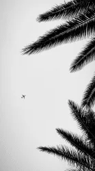 Where Shadows Travel