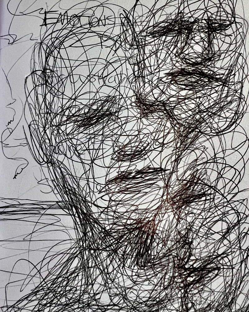 Emotions of the Day